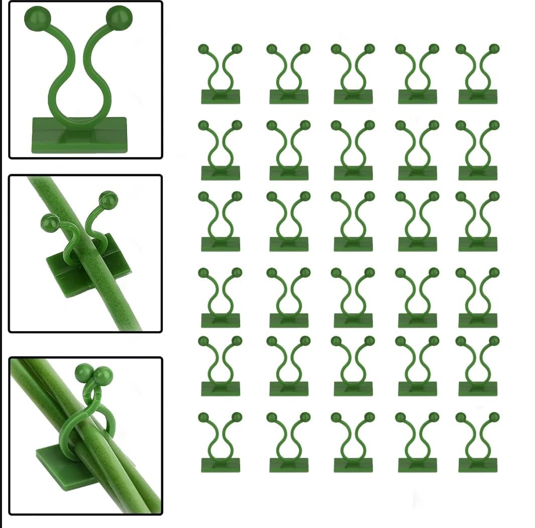 30pcs-Plant-Climbing-Wall-Clips-Self-Adhesive-Money-Plant-Support-Clips